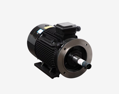 Motor LAEG TYP Series – Động cơ đồng bộ nam châm vĩnh cửu