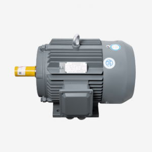 Motor LAEG TYP Series – Động cơ đồng bộ nam châm vĩnh cửu