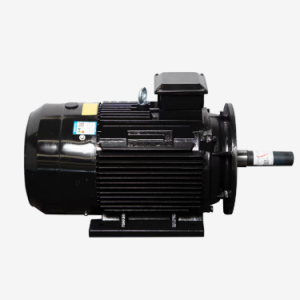 Motor LAEG TYP Series – Động cơ đồng bộ nam châm vĩnh cửu