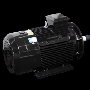 Motor LAEG TYP Series – Động cơ đồng bộ nam châm vĩnh cửu