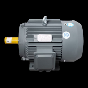 Motor LAEG TYP Series – Động cơ đồng bộ nam châm vĩnh cửu