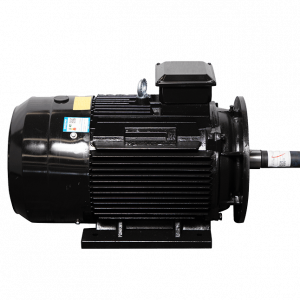 Motor LAEG TYP Series