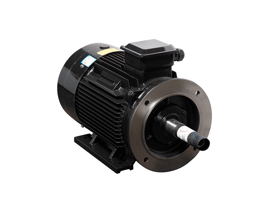 Motor LAEG TYP Series