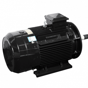 Motor LAEG TYP Series