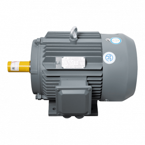 Motor LAEG TYP Series