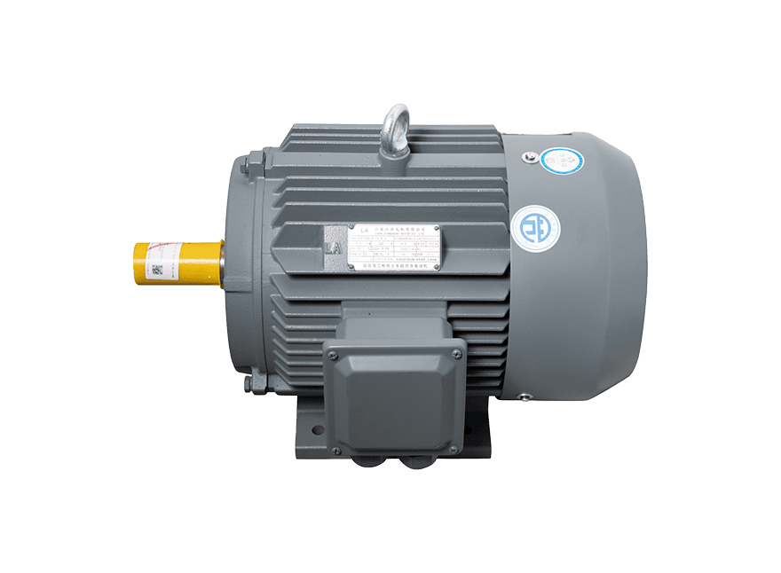 Motor LAEG TYP Series