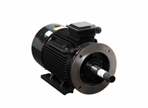 Motor LAEG TYP Series