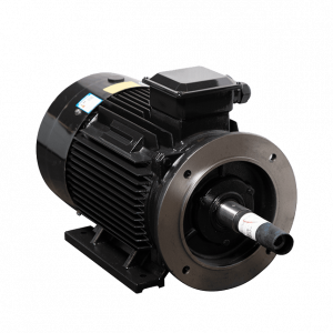 Motor LAEG TYP Series